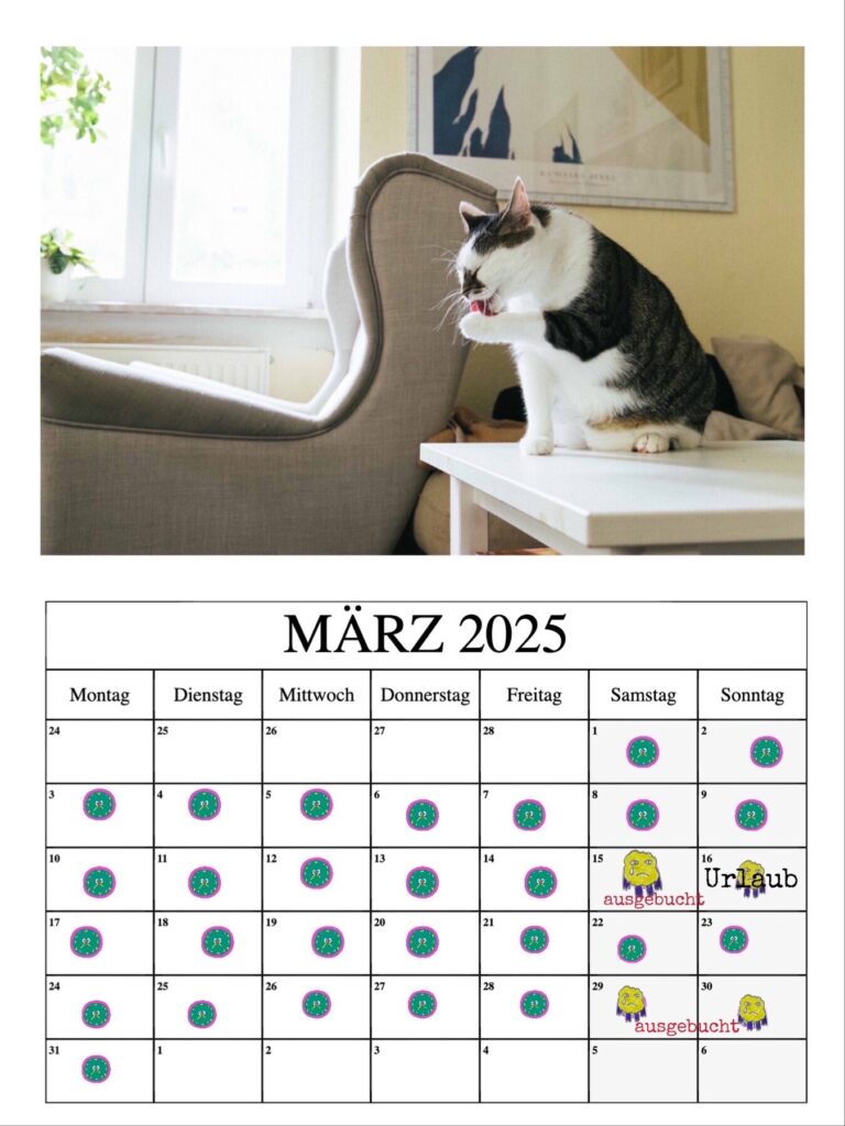 Katzenbetreuung Katzenpension Würzburg mobil Katzenbetreuung Catsitter Katzensitter Tierbetreuung Katzenfotografie Tierfotografie Katzenfotos cat photography, Verfügbarkeitskalender