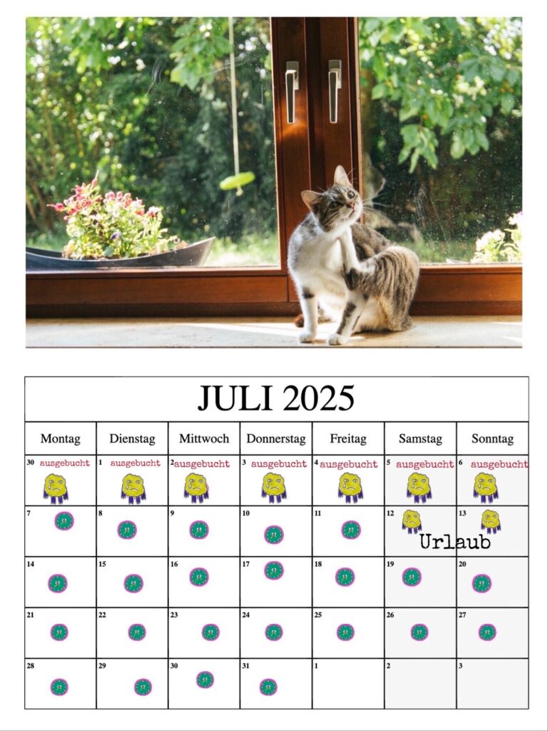 Katzenbetreuung Katzenpension Würzburg mobil Katzenbetreuung Catsitter Katzensitter Tierbetreuung Katzenfotografie Tierfotografie Katzenfotos cat photography, Verfügbarkeitskalender